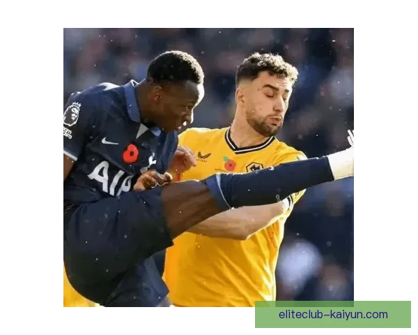 富勒姆锋线表现稳健，球队攻击力持续增强，迎接接下来的联赛挑战。